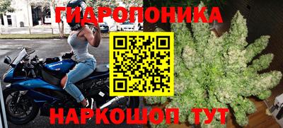 молекула духа Аша