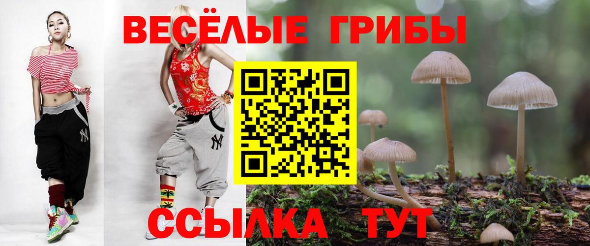 Галлюциногенные грибы Psilocybine cubensis Астрахань