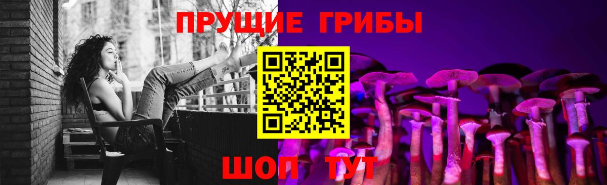 Астрахань  Псилоцибиновые грибы GOLDEN TEACHER  Вход с VPN 